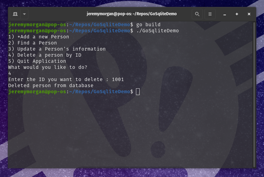 How to use SQLite with Go: Build and run program, enter ID