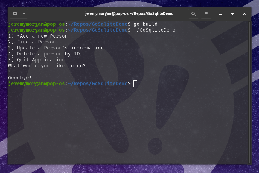 How to use SQLite with Go: Exit