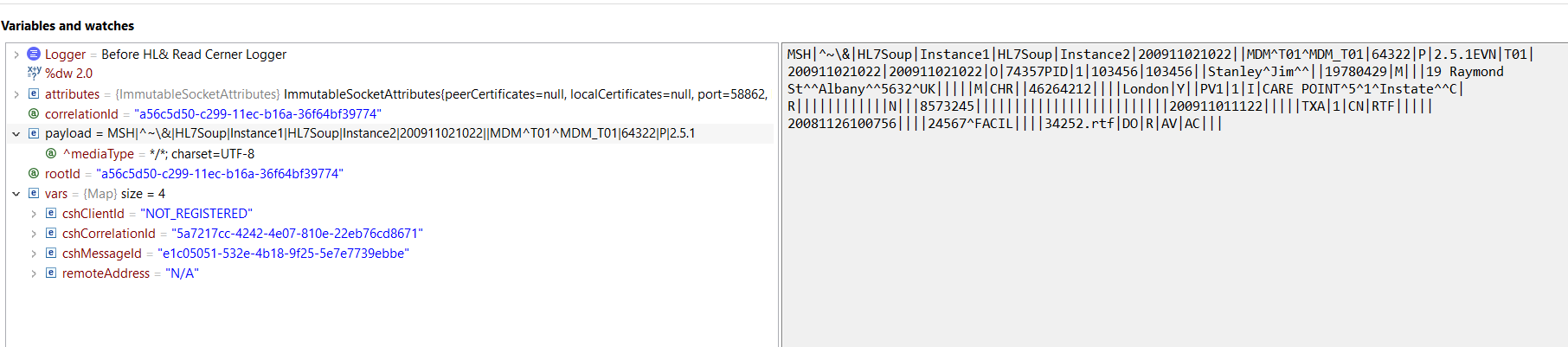 Sample message structure received through MLLP listener