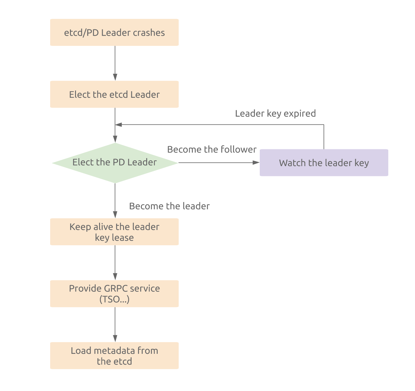 PD Leader election process