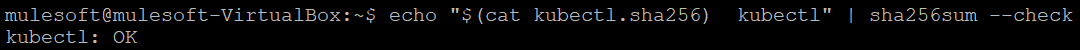 Validate installable download