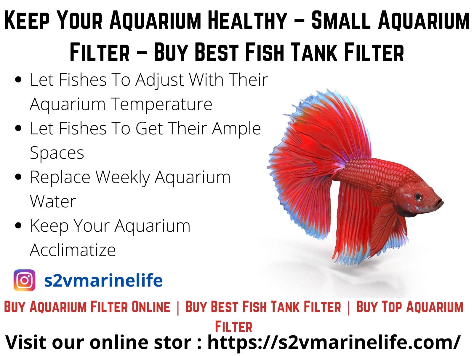 best internal aquarium filter | Buy aquarium filter online