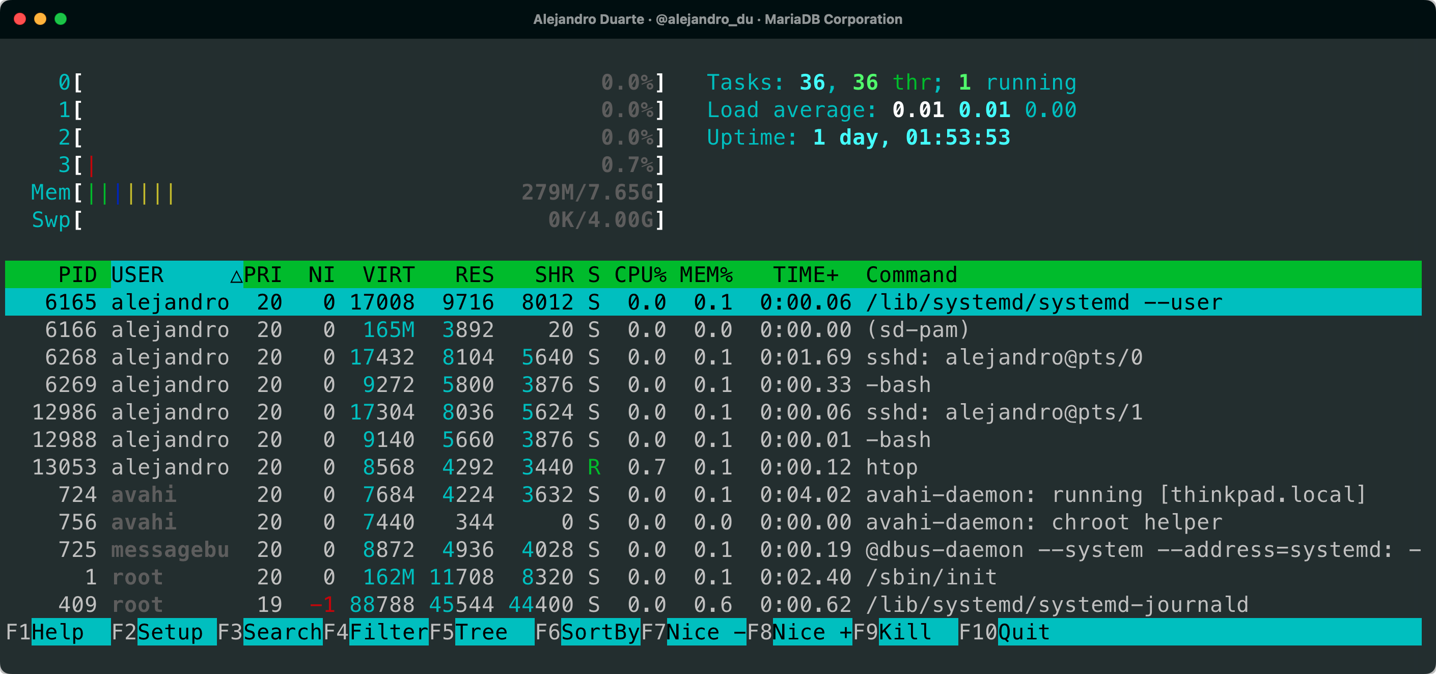 htop screenshot