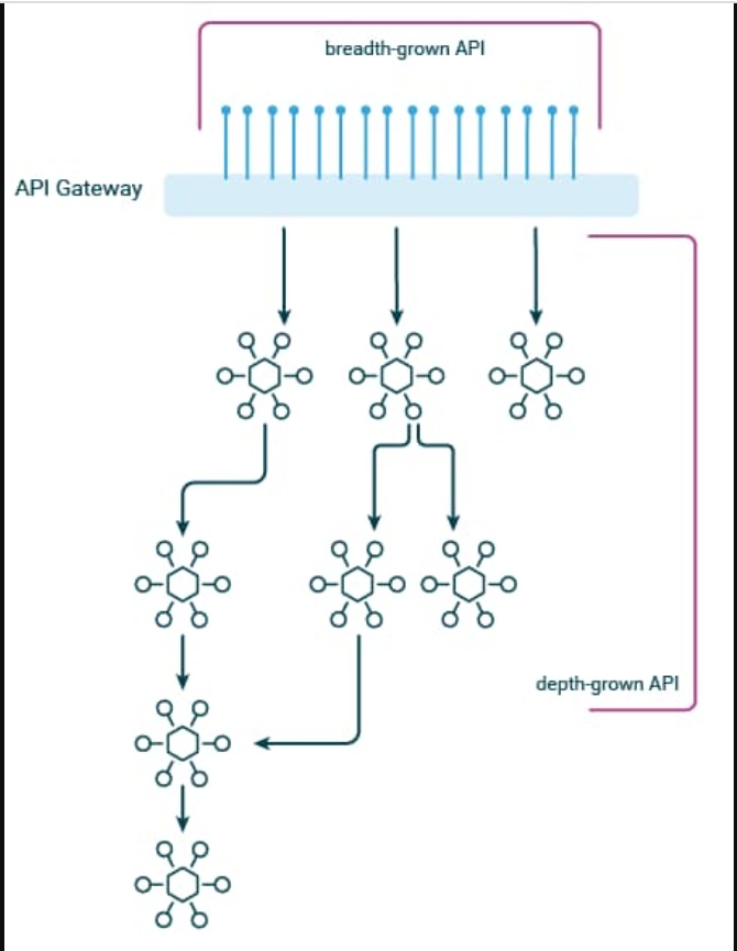 API Gateway: breadth grown or depth grown