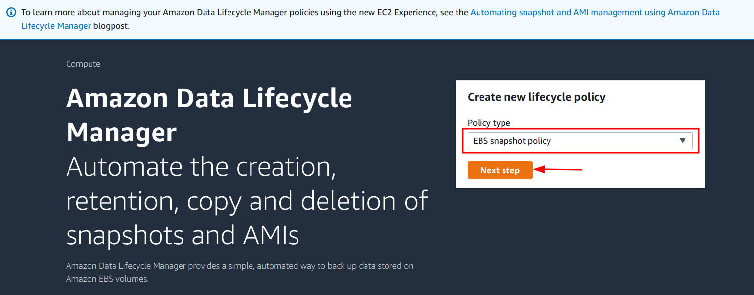 Select the “EBS snapshot policy” and click on the “Next step” button