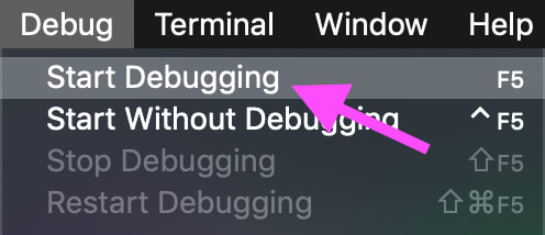 start debugging