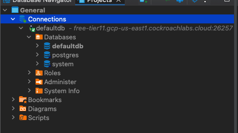 Expand the project navigator to see the rest of the databases