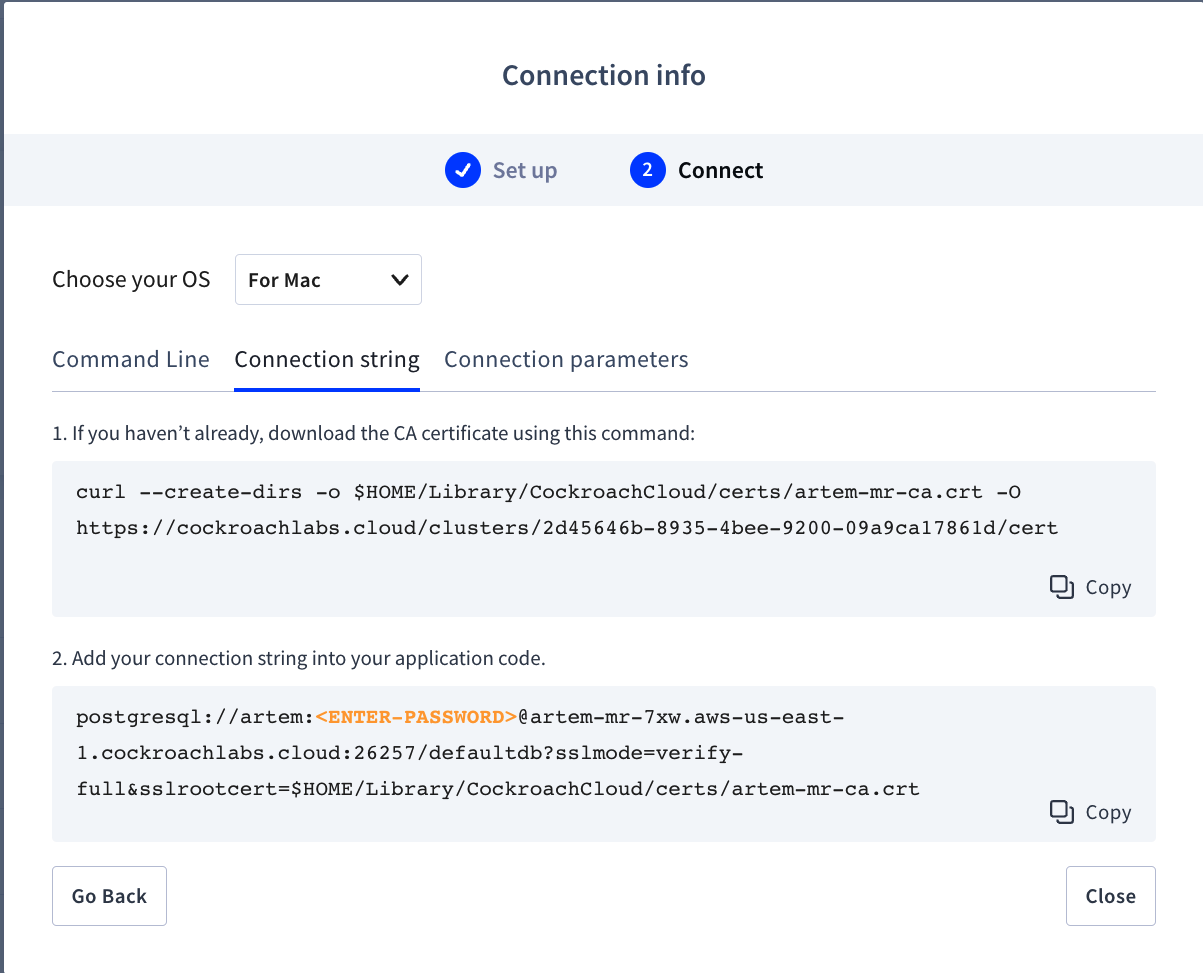 Under the connection string, we can find all of the necessary info we will need to fill out the Compose file