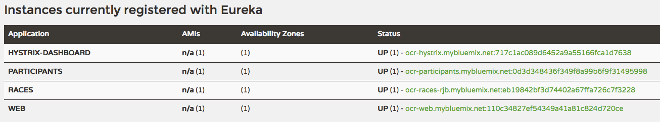 instances registed with eureka