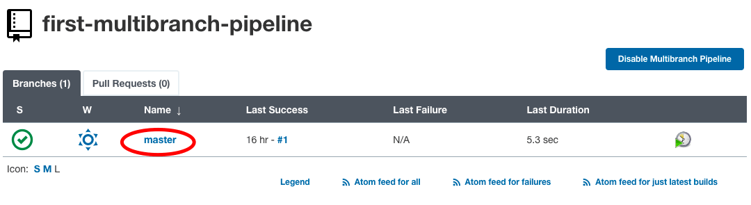 First Multibranch Pipeline