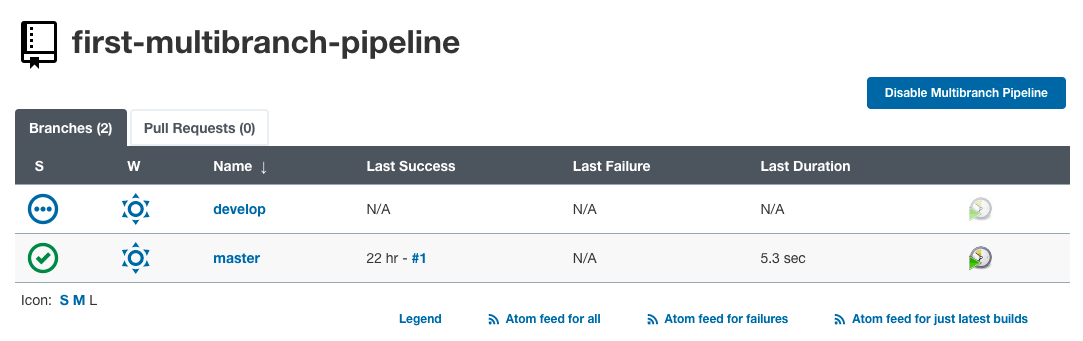 First Multibranch Pipeline