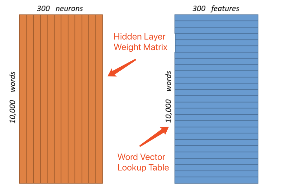 Graph-4: Gigantic Word Vectors (3,000,000 Weights!)