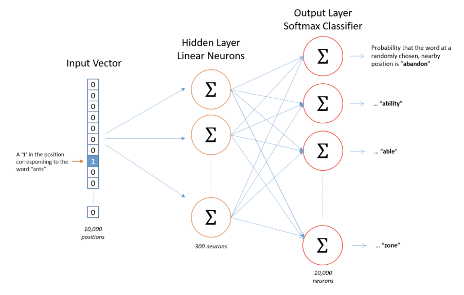 Graph-3: Architecture of Word2Vec Neural Network.
