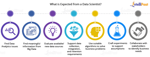 10 Data Scientist Skills You Must Have in 2023 – Intellipaat Blog