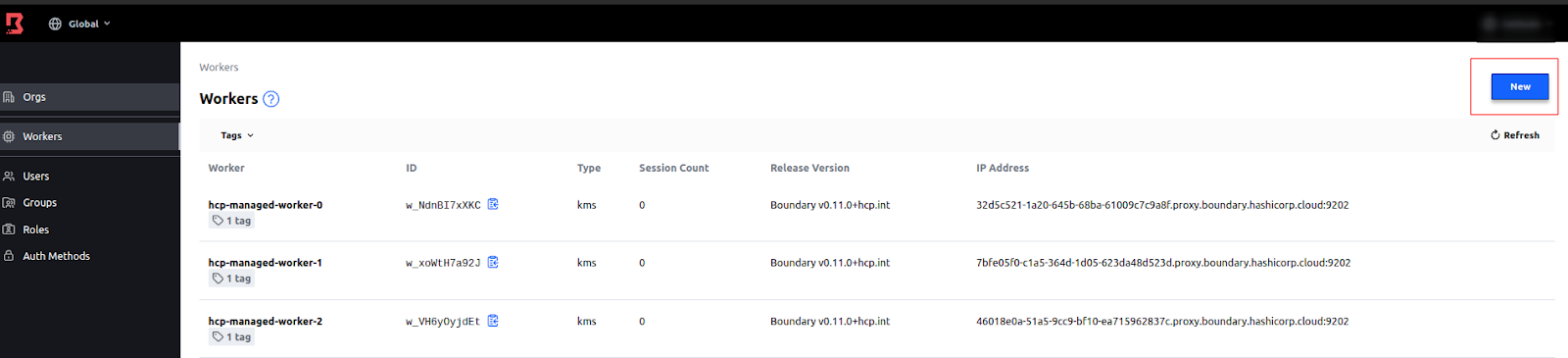 From the Workers page, click New.