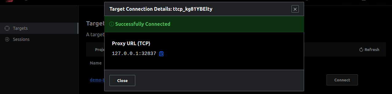 Connect to the target and use a proxy URL to access the application.