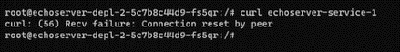 Once you try to reach our service-1 (echoserver-service-1) from the browser, then you can access it without any problem