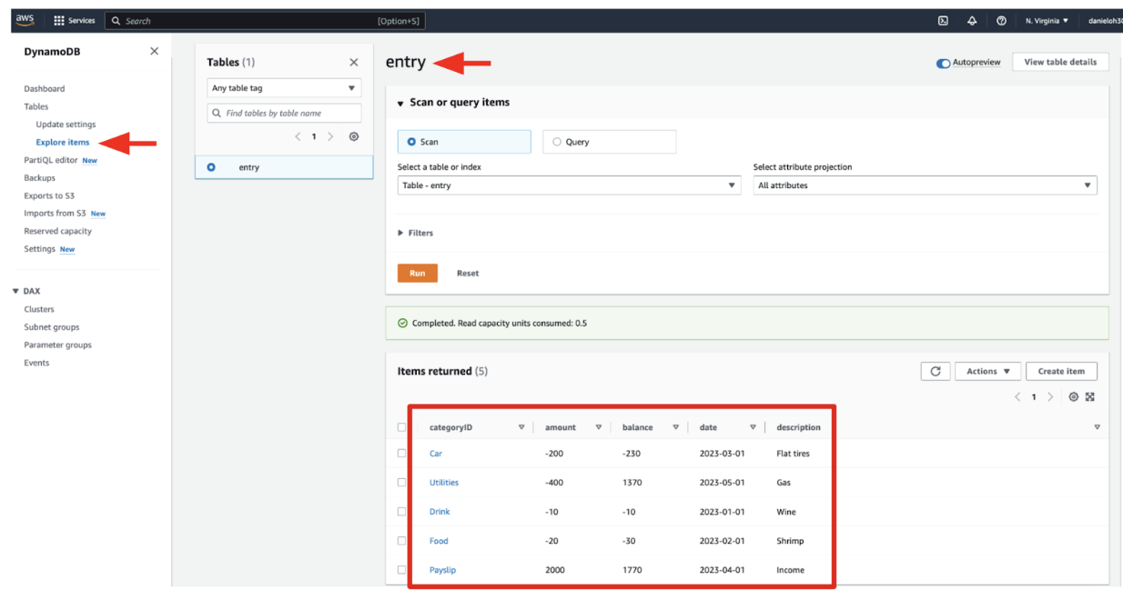 A table in AWS DynamoDB