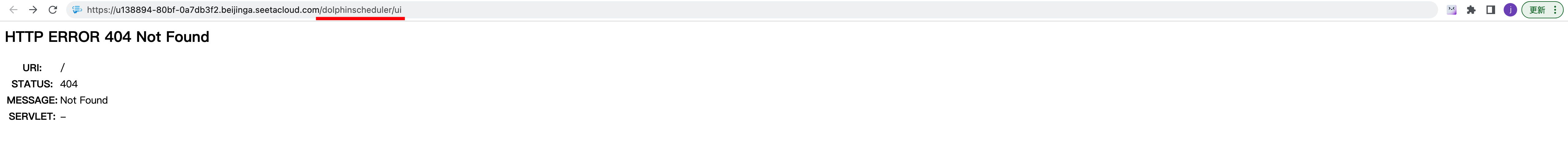 Just append the suffix /dolphinscheduler/ui to the URL