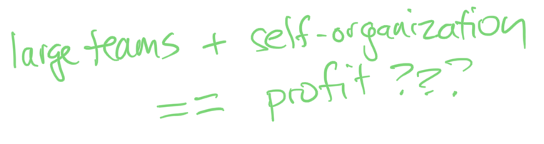 Large teams + self-organization = profit???
