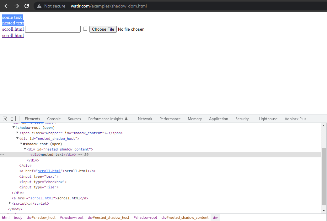 Assert the shadon dom and the nested shadow dom text.