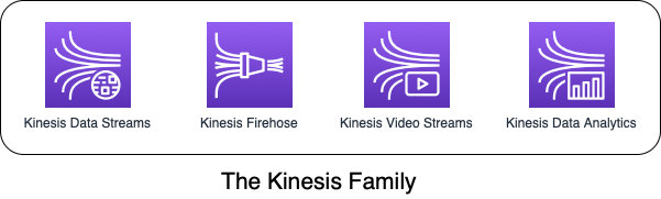 The Kinesis Family