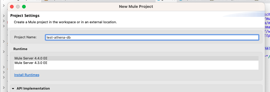 new mule project