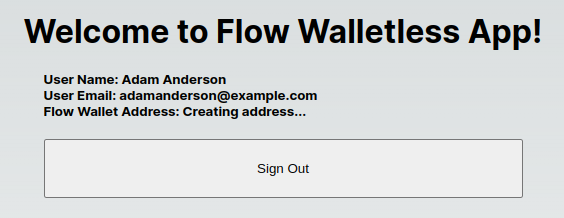 User name, email, and creating wallet address