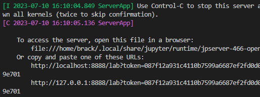 If it doesn’t start automatically, you can navigate to the JupyterLabs server by clicking on the URLs in your terminal