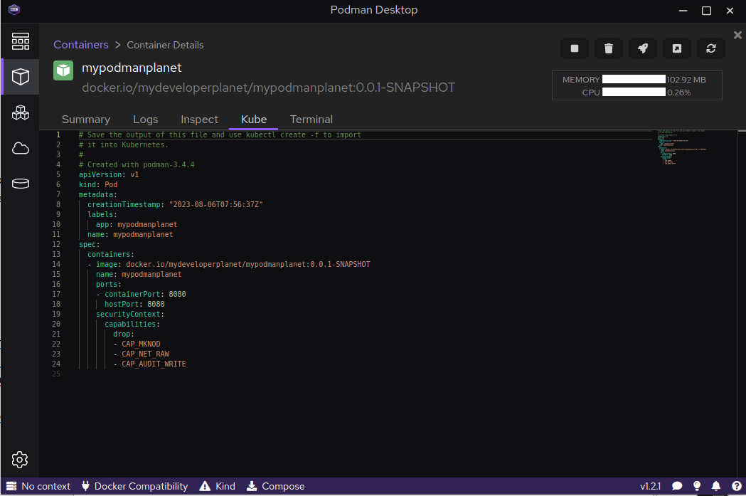 The Terminal tab gives you access to a terminal inside the container.