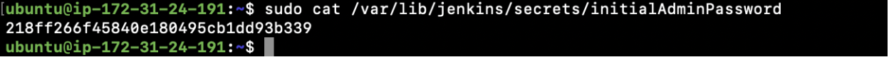 After Jenkins has been installed, the first step is to extract its password.