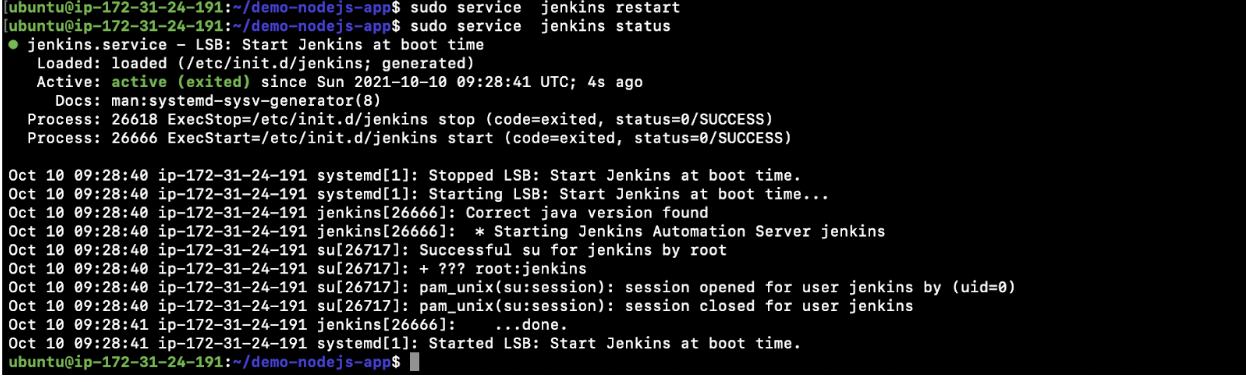Check if the Jenkins service has started or not