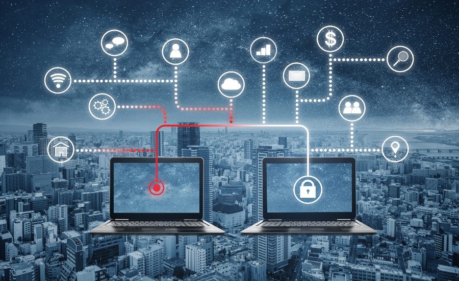 Software piracy protection