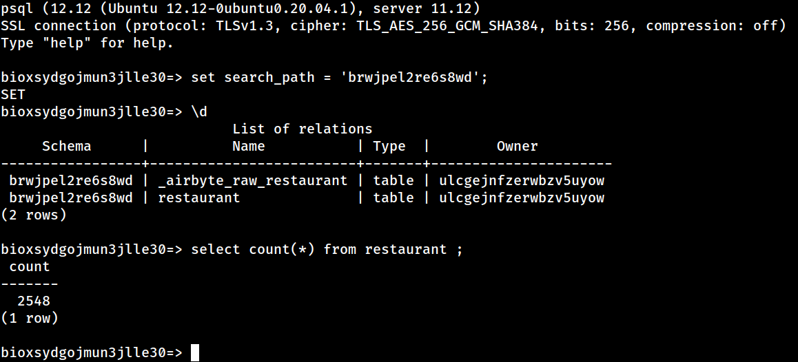 Log in to the Postgres host to see the replicated data