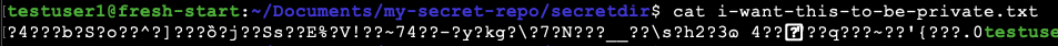 Gibberish output from cloning the file without decrypting it