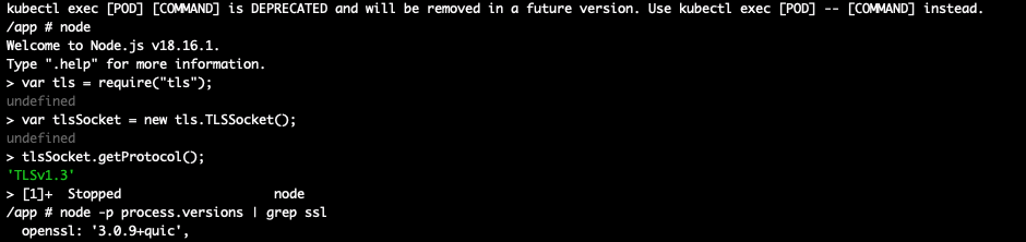 An Example of checking NodeJS Docker Container running in Kubernetes