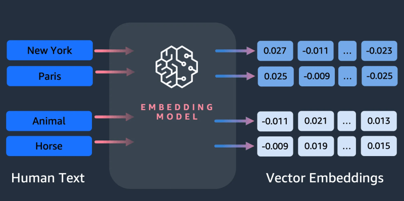 Human text - embedding model - vector embeddings