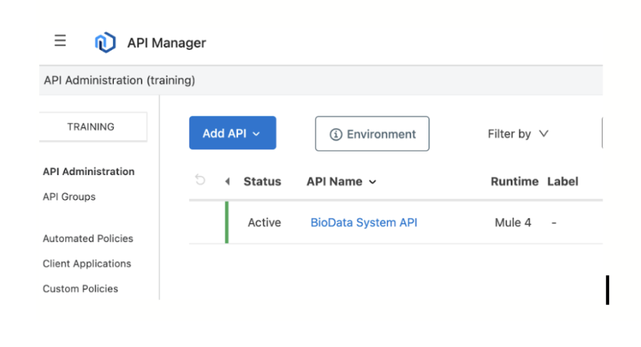 You can see your API being active in the API Manager.