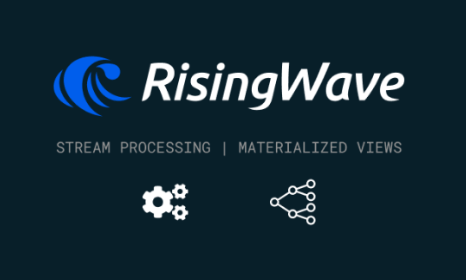 The RisingWave logo tahek by Federico Trotta from their website.