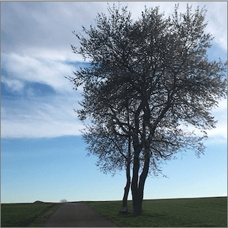 A bitmap stored in a database