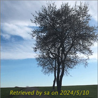 Bitmap with watermark