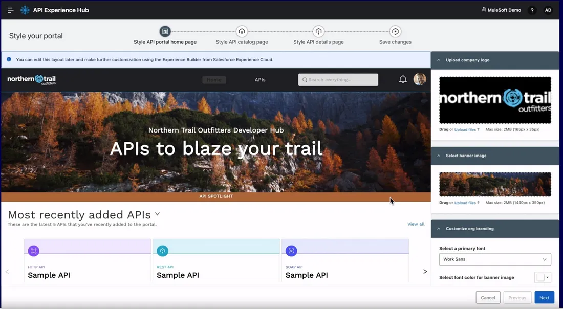 Anypoint API Experience Hub