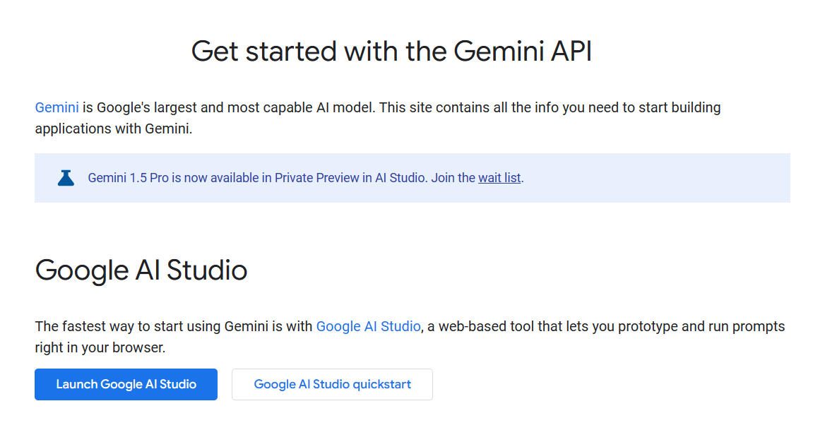 Launch Google AI Studio