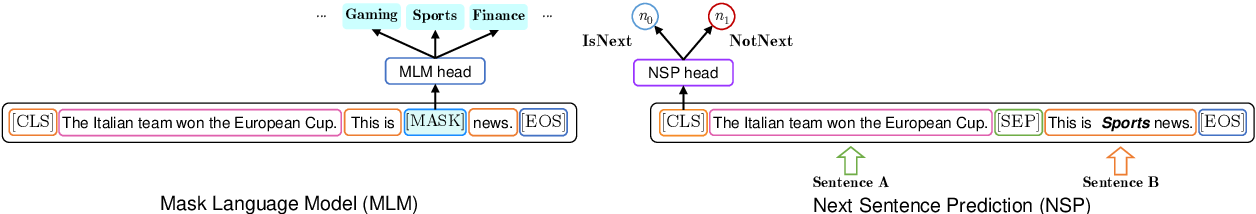 Next Sentence Prediction (NSP)