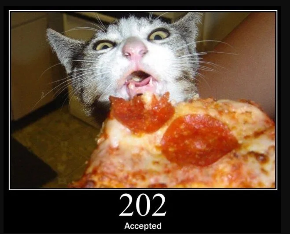 Cat eating pizza: 202 Accepted