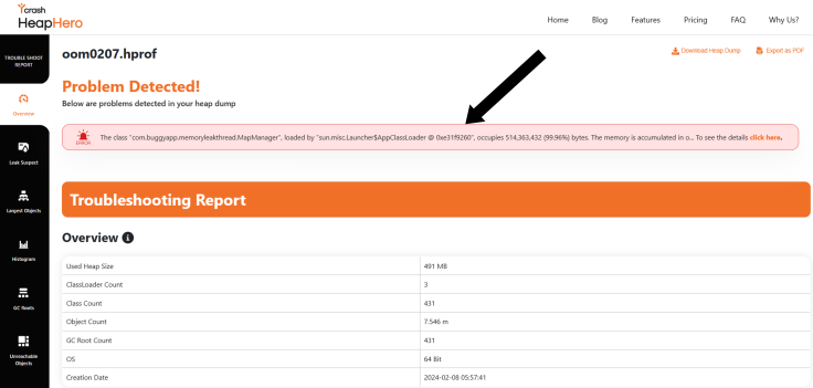 HeapHero reporting Memory problem detected