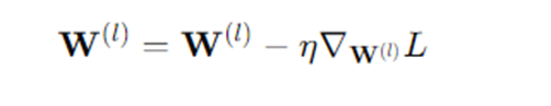 Weight update formula