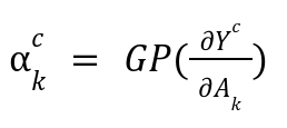 Grad-CAM formula