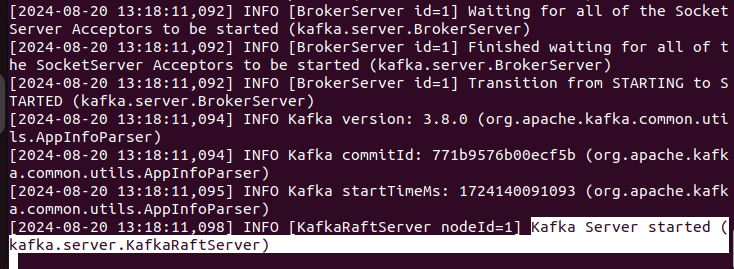 Terminal display: Kafka server started