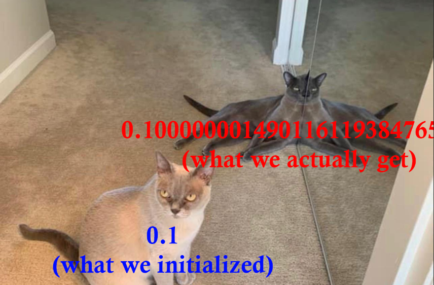 Picture of two cats representing what we initialized versus what we actually get